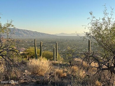 12165 E Quesada Place unit 33, Tucson, AZ 85749 - photo 4