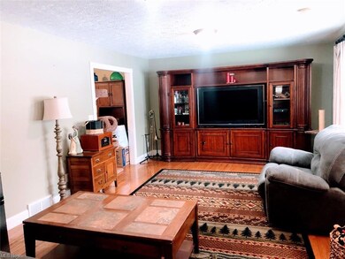 249 S Elm St, Jefferson, OH 44047 - photo 6