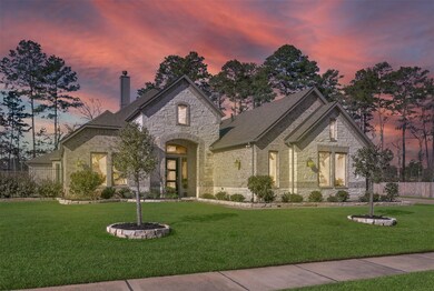 14125 N Evergreen Ridge Ct, Conroe, TX 77384 - photo 2