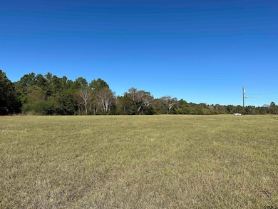 12B  / TBD Old Spanish Trial Dr, Alto, TX 75925 - photo 3