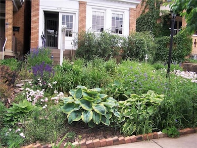 lush perennial garden