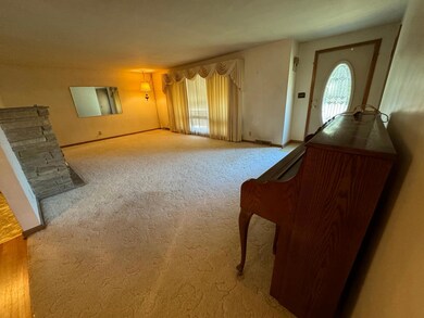 1202 Garfield Ave, Albert Lea, MN 56007 - photo 5