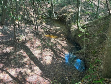 McDonald Rd, Florence, MS 39073 - photo 4