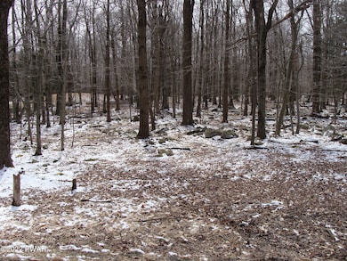 0 Valley Rd unit PWBPW253773, Newfoundland, PA - photo 2