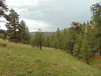 15 Shady Spring Ln, Cascade, MT 59421 - photo 7