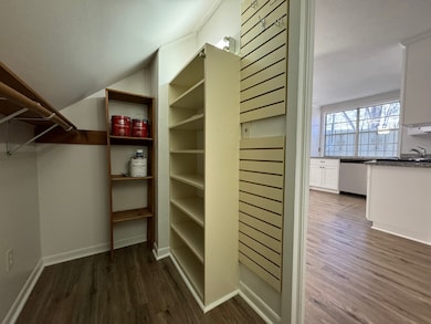 Pantry and utility storage room