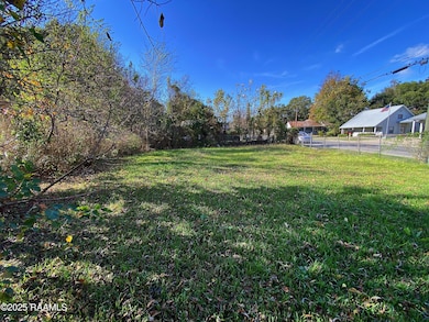 570 E St Peter St, New Iberia, LA 70560 - photo 3
