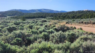 1691 Luke Rd, Fort Garland, CO 81133 - photo 2