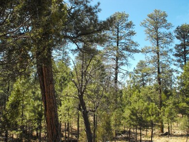 7 Lot 102 Juniper