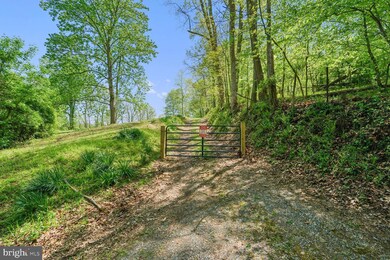 20820 Beaverdam Bridge Rd, Middleburg, VA 20117 - photo 3