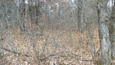 Lot 3 300th St, Sterling Township, WI 54024 - photo 5