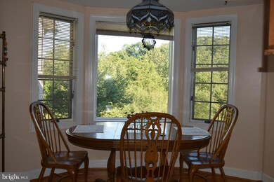 506 Meander Run Rd, Locust Dale, VA 22948 - photo 7