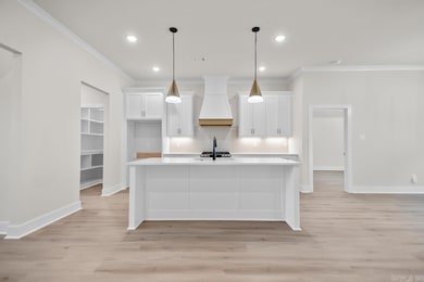 3901 Spencer Crossing Dr, Benton, AR 72019 - photo 3