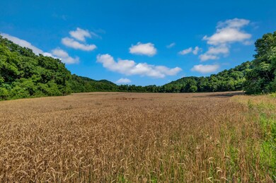 0 Tackets Br Rd unit RTC2400343, Goodspring, TN 38460 - photo 7