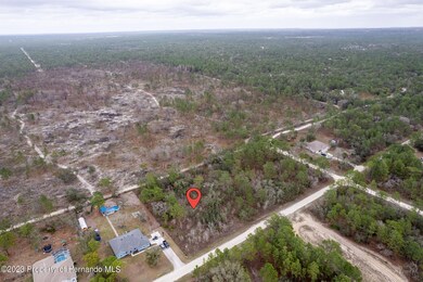 2-web-or-mls-DJI_0461-HDR copy