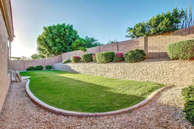 Beautiful Backyard