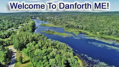 danforth-me-aerial-baskeheg