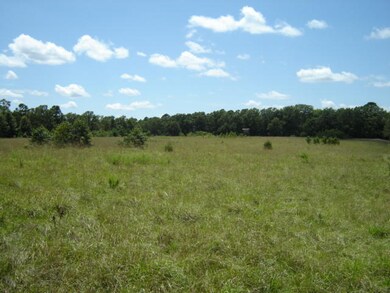 Pasture III