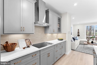 2460 Mystic Maroon Terrace, Ashburn, VA 20147 - photo 2