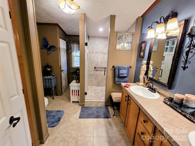 422 Battle Creek Rd, Horse Shoe, NC 28742 - photo 6