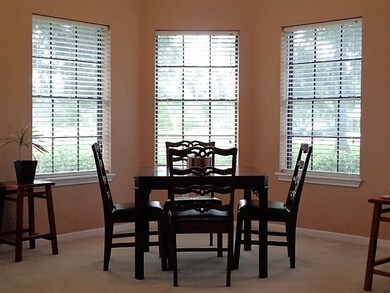 205 County Road 461b, Brazoria, TX 77422 - photo 7