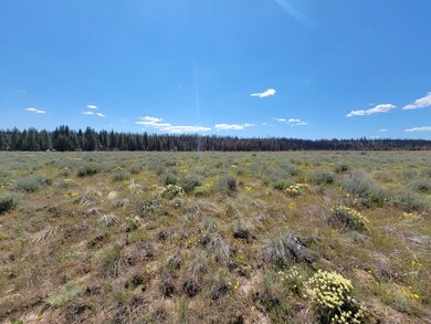 Mt Trout Ln, Sprague River, OR 97624 - photo 6