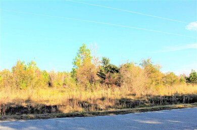 000 Samuel Rd unit 3769 E Highway 9 Bus, Loris, SC 29569 - photo 4