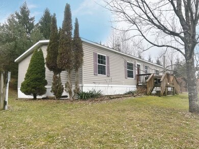 2233 Covert Hollow Rd, Hamden, NY 13782 - photo 3