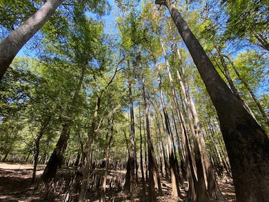 0 Reynolds Rd, Tensaw, AL 36579 - photo 3