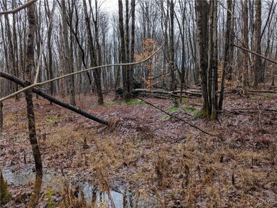 0 Ryan Rd, Williamstown, NY 13493 - photo 5