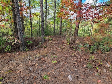 288 Deer Path Trail, Franklin, NC 28734 - photo 4