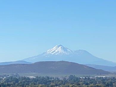 IMG_3896