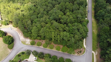 102 White Birch Ct, Aiken, SC 29803 - photo 4