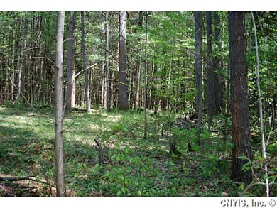 Land/Lot