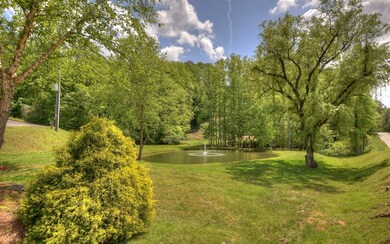 LT 34 Settler's Ridge Rd, Ellijay, GA 30540 - photo 6