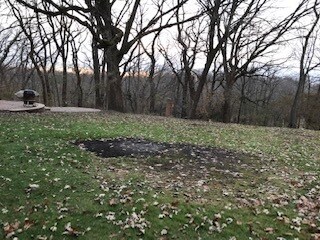 The missing grass is from the former tenant having a kids jumping thing there. The grass should grow back,