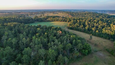 4420 State Route Dd, Willow Springs, MO 65793 - photo 4