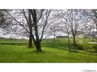 Yard/Garden.