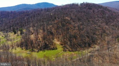 0 Pointer Ridge Rd unit VARP2000022, Washington, VA 22747 - photo 6