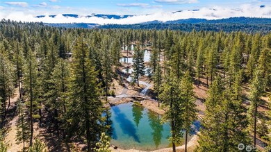 114 Wanawish Loop, Cle Elum, WA 98922 - photo 6