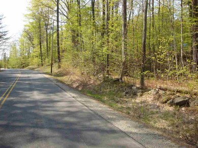 Lot 2 N Groton unit 2, Groton, NH 03241 - photo 5