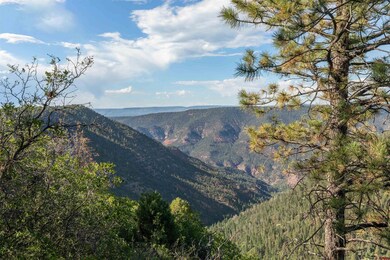 1151 Dr, Placerville, CO 81430 - photo 5