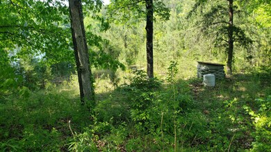 Smith Lake Lot