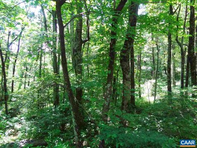 4 Laurel Ct unit LAUREL RIDGE 99, Nellysford, VA 22958 - photo 2