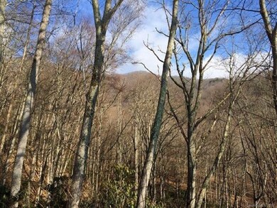 View looking North from property
