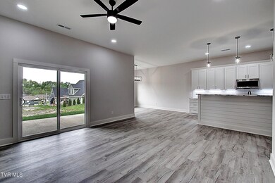 73 Slonaker Cir, Jonesborough, TN 37659 - photo 6