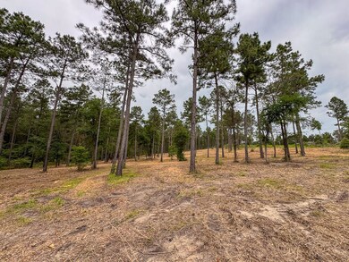 0 Guerrant Rd N unit 23220622, Huntsville, TX 77320 - photo 5