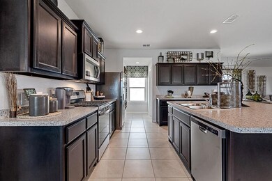 308 Bronze Cir N, Springtown, TX 76082 - photo 4