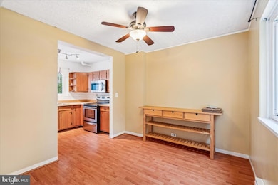 47 D Ridge Rd, Greenbelt, MD 20770 - photo 4