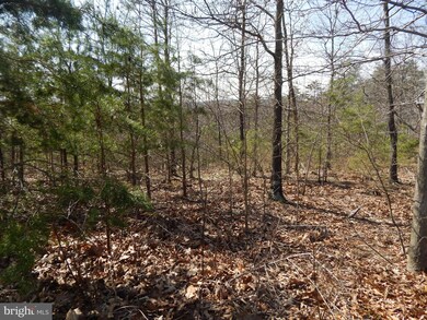 4 Cielo Ln, Berkeley Springs, WV 25411 - photo 6